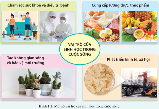 BÀI 1 - GIỚI THIỆU CHƯƠNG TRÌNH MÔN SINH HỌC. SINH HỌC VÀ SỰ PHÁT TRIỂN BỀN VỮNG