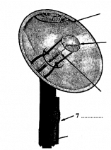 hybrid-solar-lighting