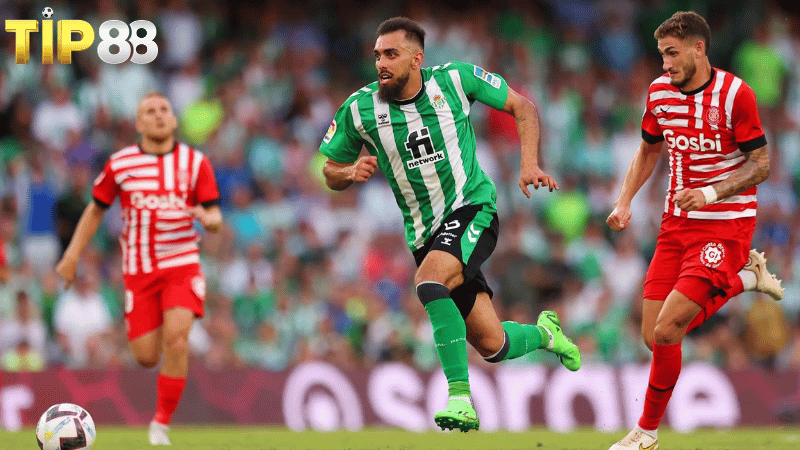 Lịch sử đối đầu Girona vs Real Betis