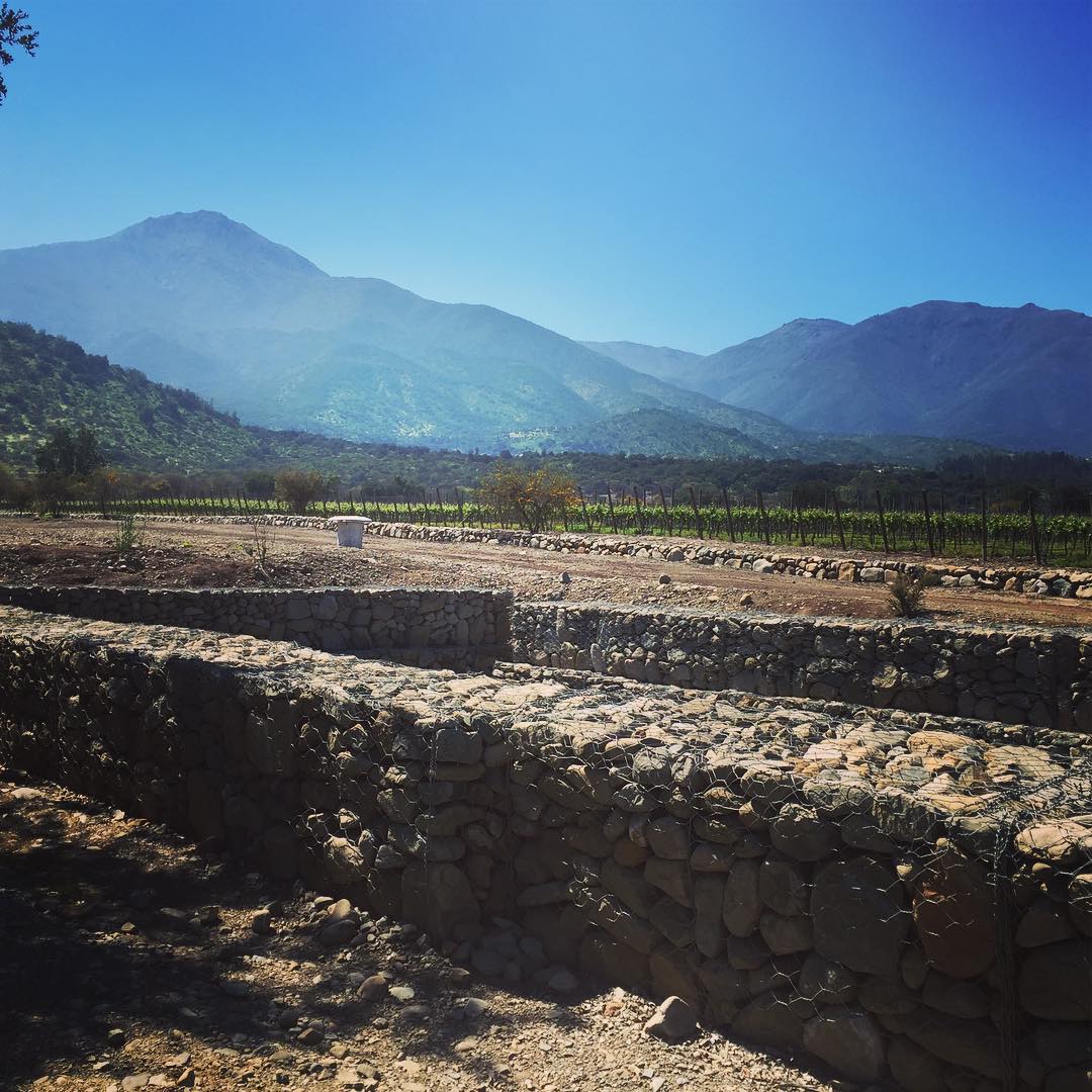 Maipo Valley