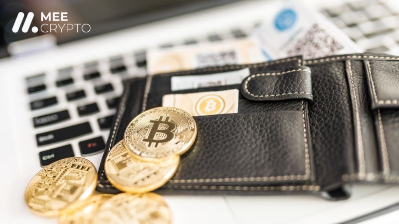 Ví crypto có nhiều cách phân loại