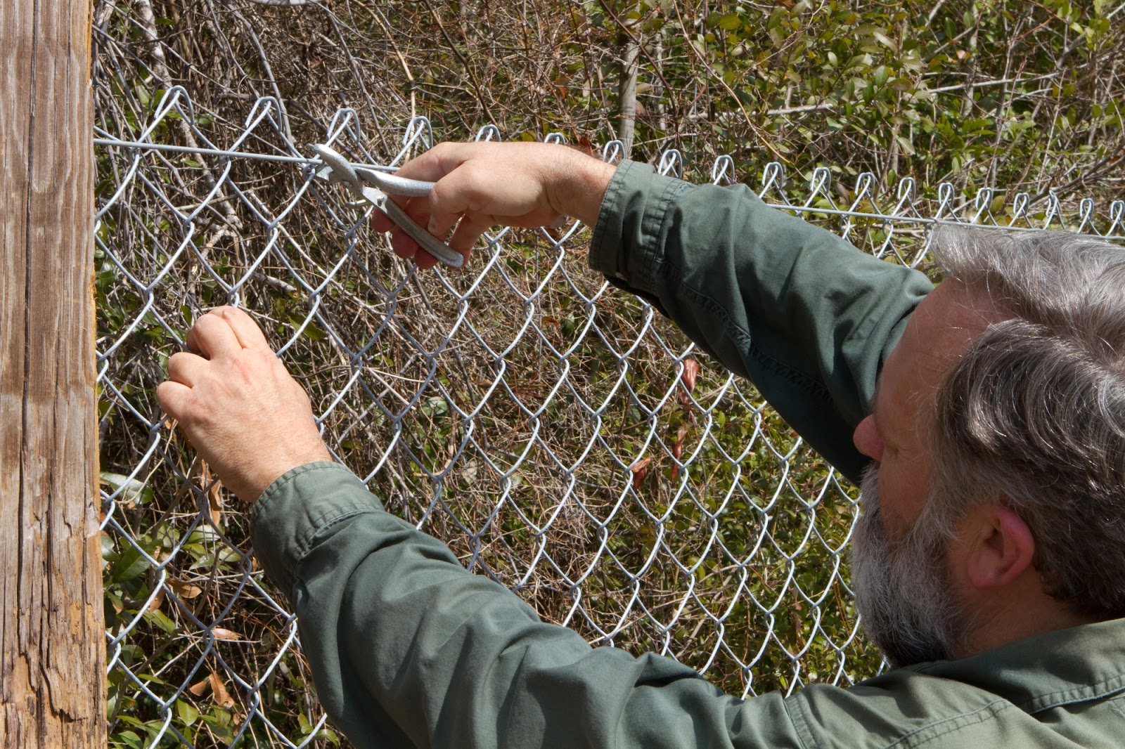 Building Fence