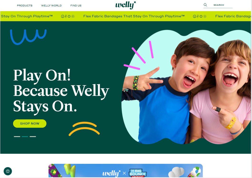 Welly Website Design