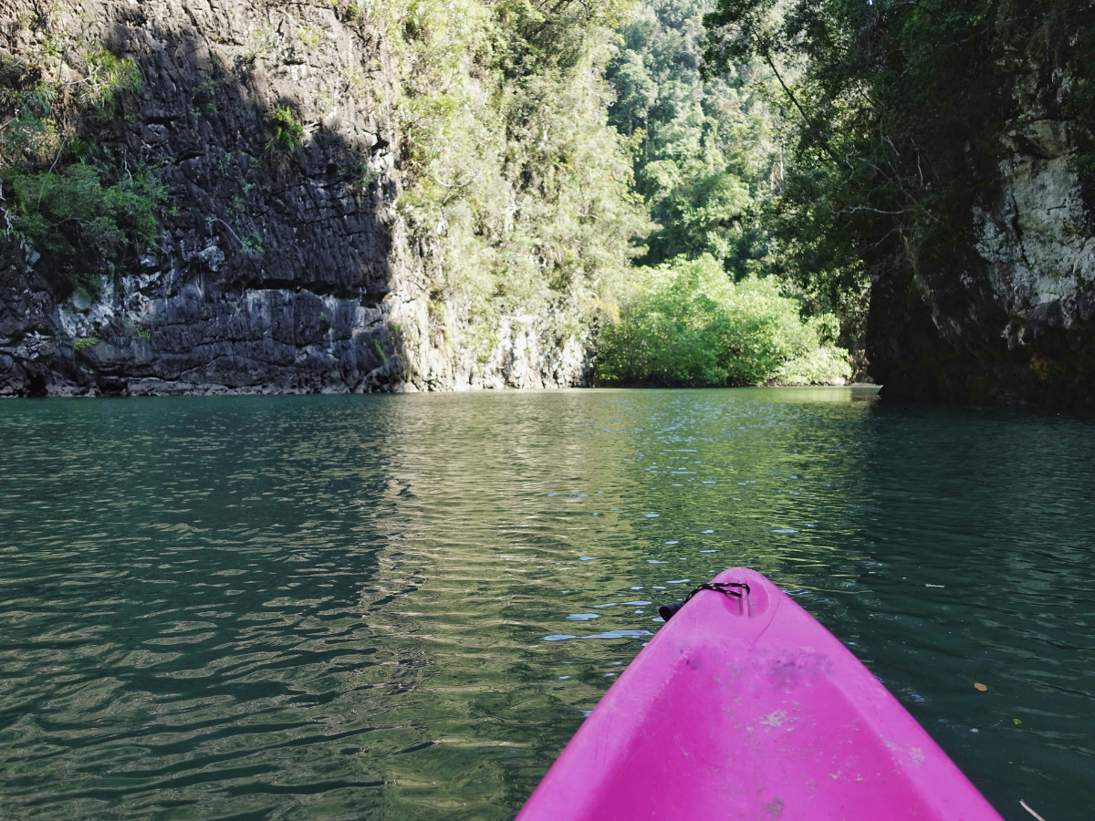 Navigating the Mangroves of Krabi: Ao Thalane's Hidden Kayak Trails