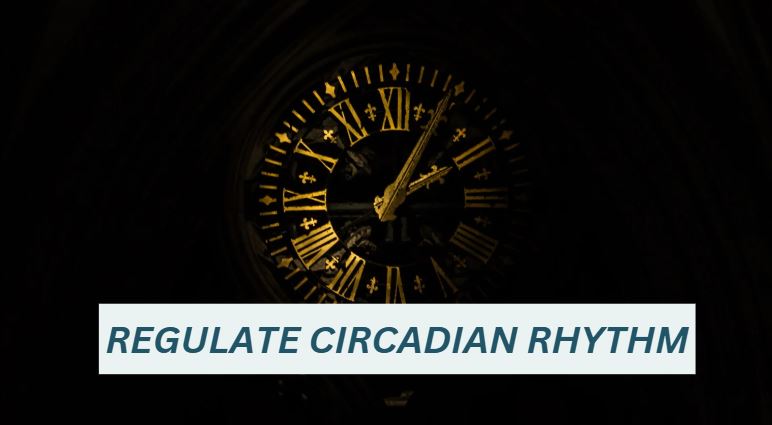 Regular circadian rhythm with blue light glasses