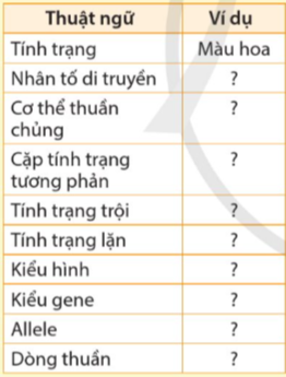 BÀI 38: QUY LUẬT DI TRUYỀN CỦA MENDEL