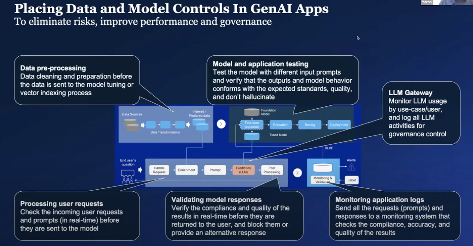 Placing data and model controls in GenAI apps