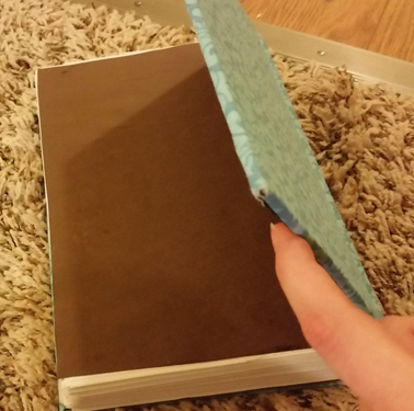 elowyn's analina's journal physical book - back inside cover
