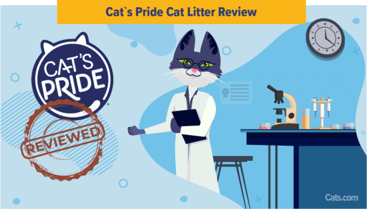 Cats Pride Cat Litter Review: Unveiling Feline Favorites