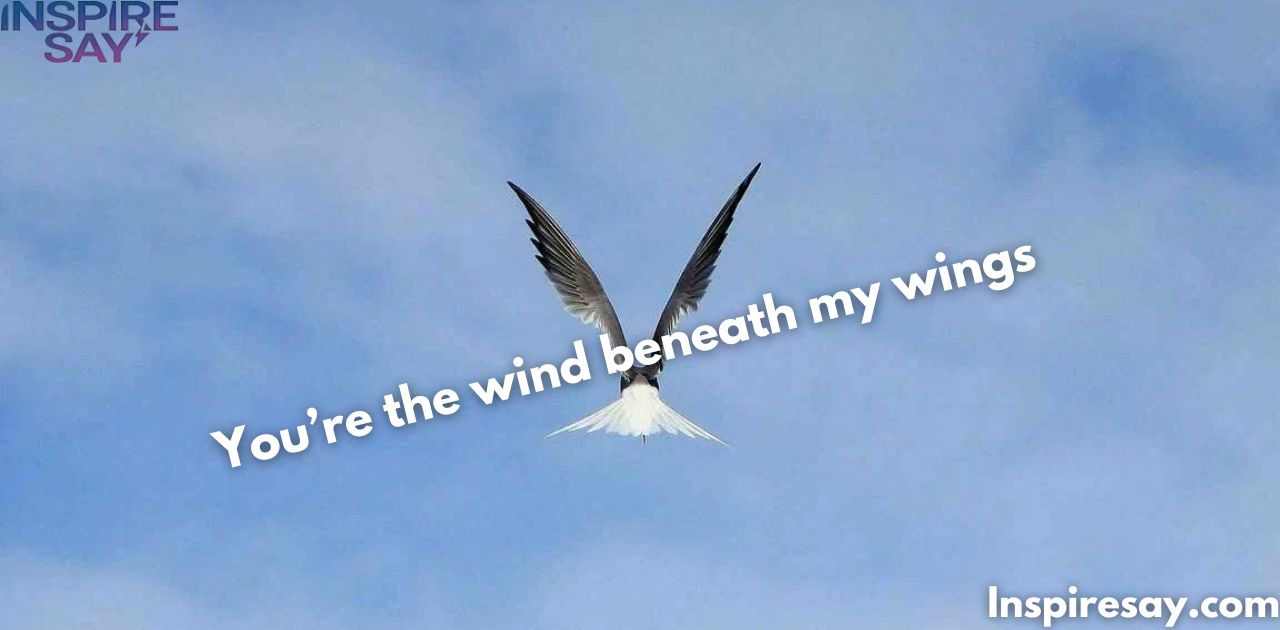 "You’re the wind beneath my wings." 🕊️