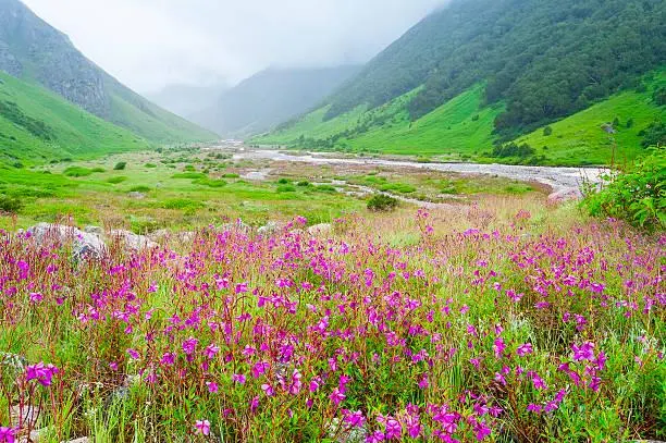 Breathtaking Scenery You Have to See to Believe, breathtaking scenery, amazing nature, nature, forest, landscape, surreal photos, real beauty