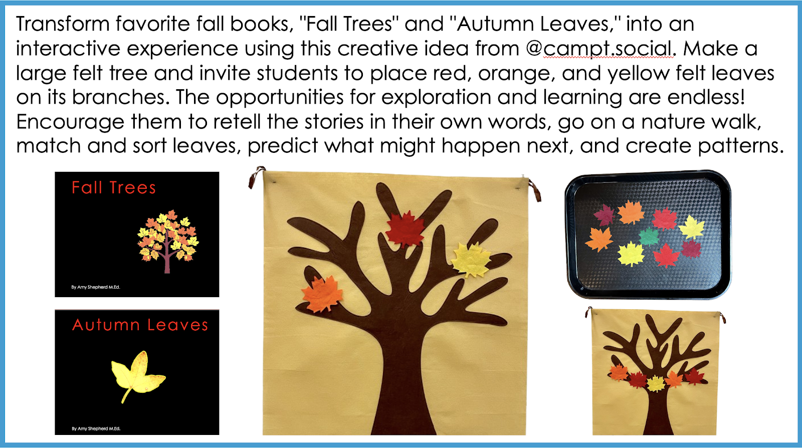 A group of fall leaves on a tree

Description automatically generated with medium confidence