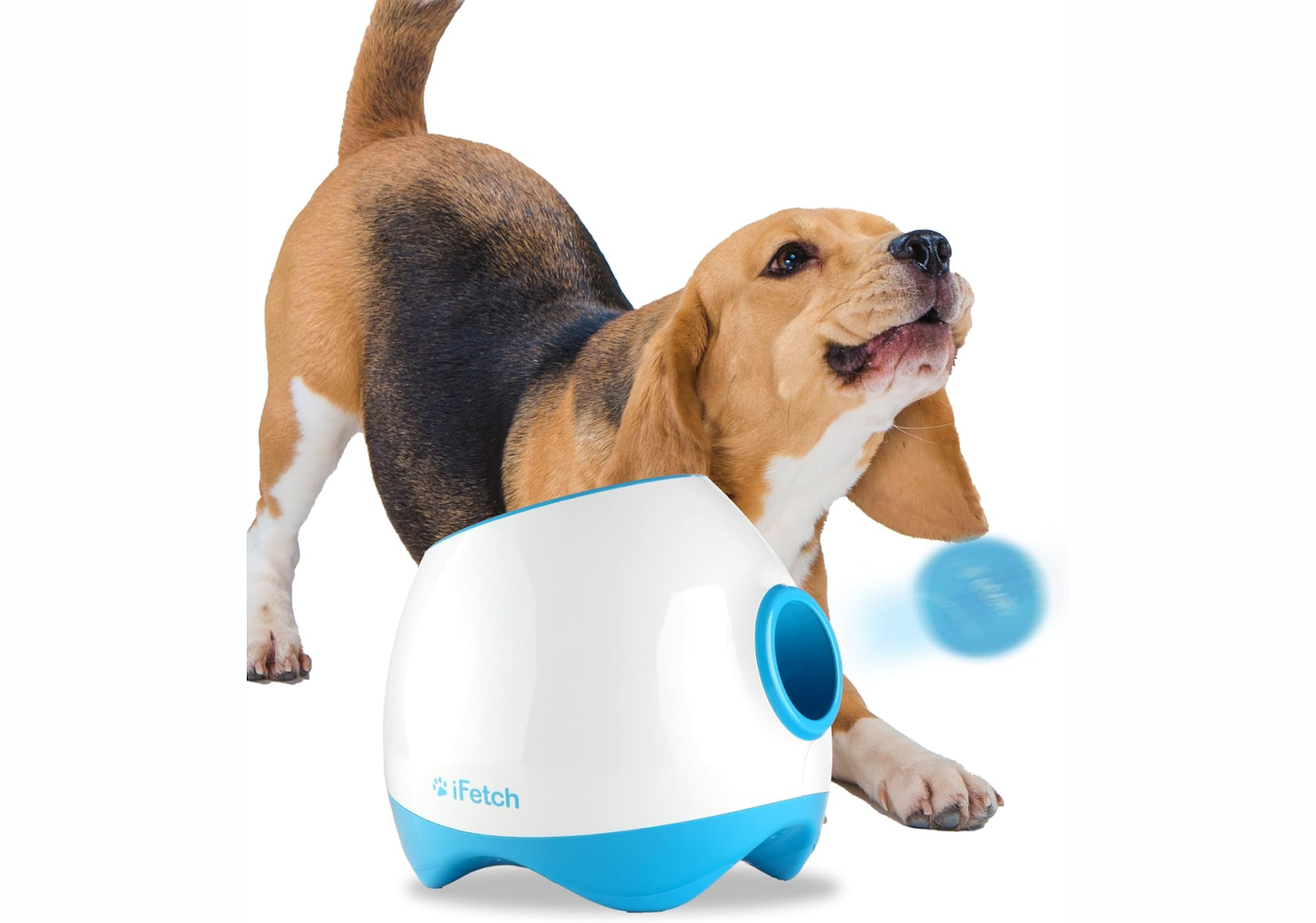 iFetch Interactive Ball Launcher