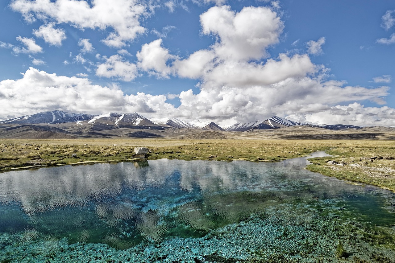 Aseer National Park