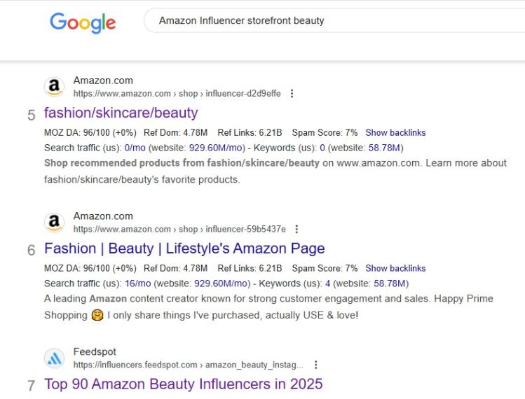 search for Amazon storefronts on Google