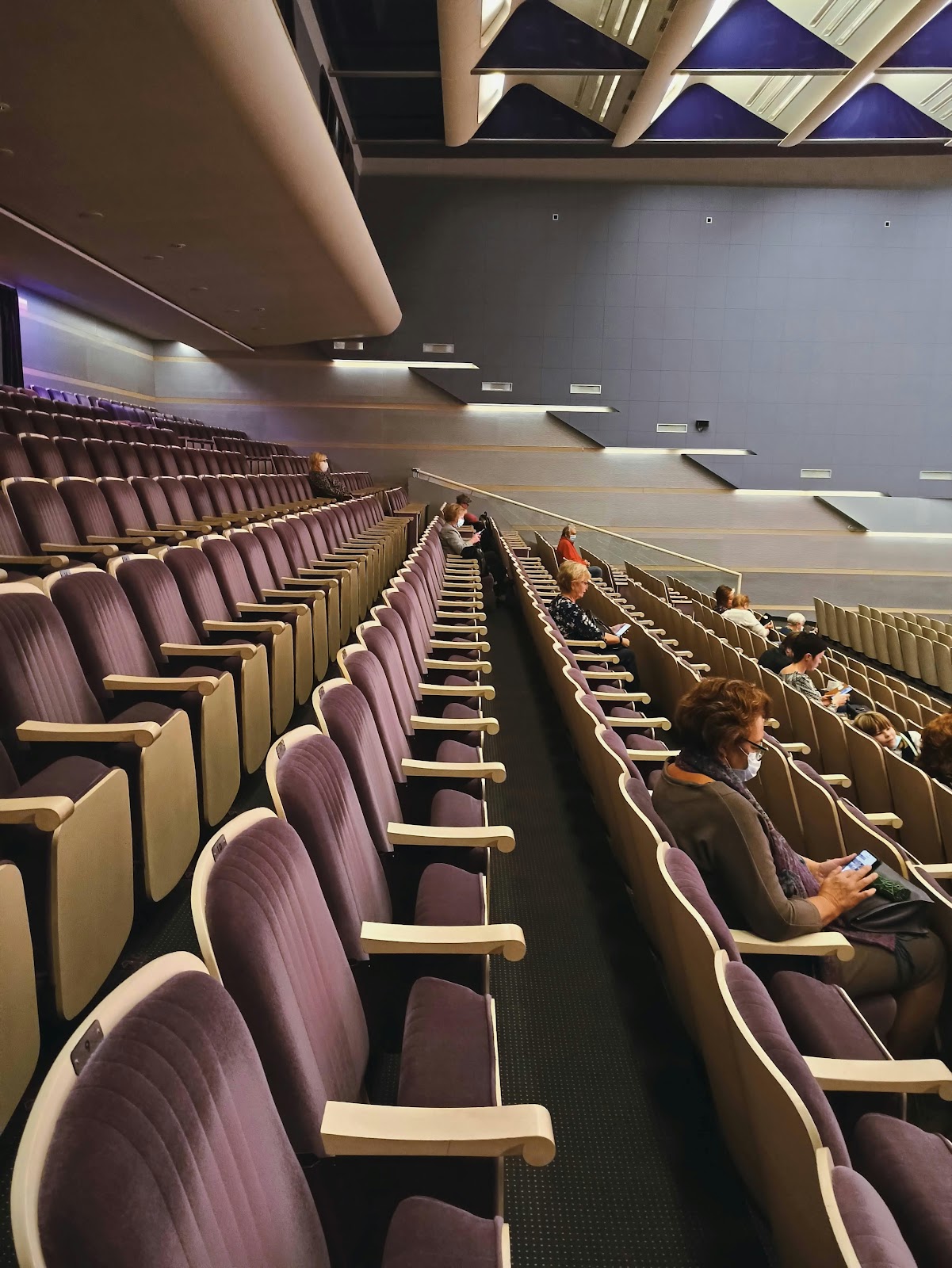 A university auditorium | Source: Pexels