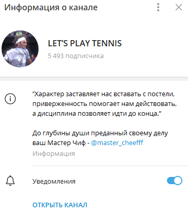  let s play tennis отзывы