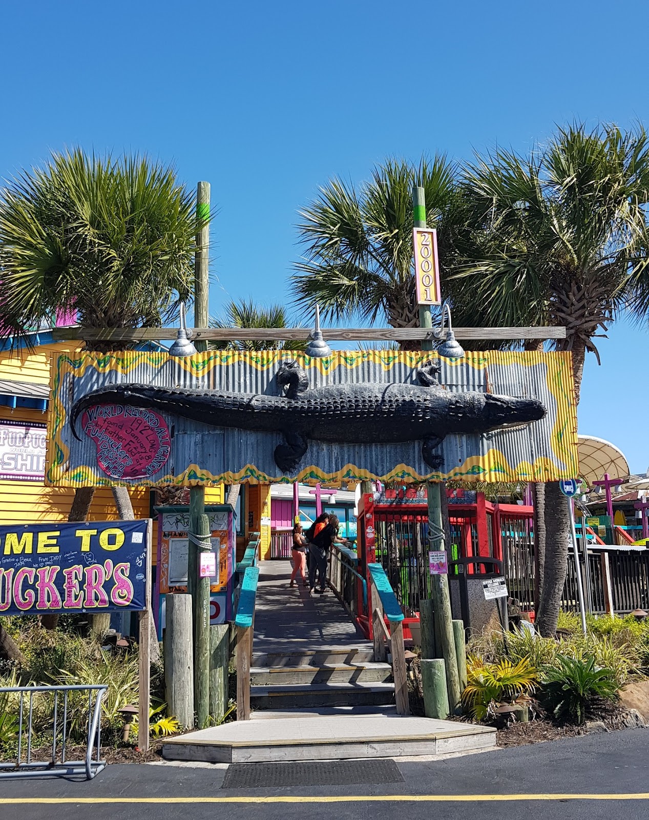 Gator Beach