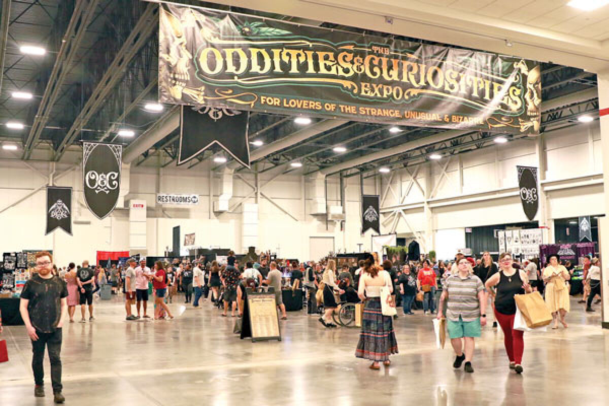 Oddities & Curiosities Expo: 