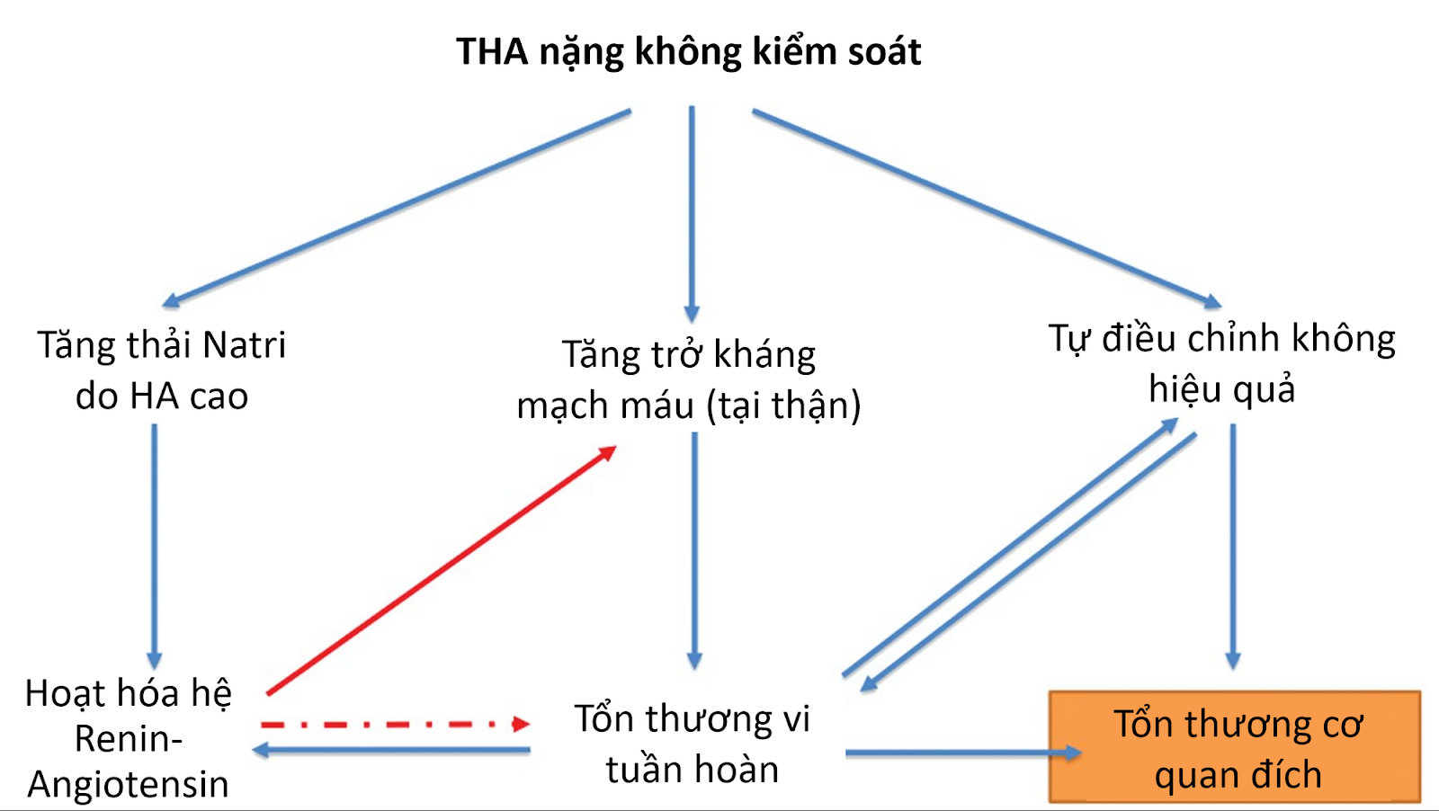 Tổn thương cơ quan đích cấp tính trong THA ác tính. Sự gia tăng đột ngột trở kháng mạch máu và tăng đào thải Natri qua đường tiểu → hoạt hóa hệ renin-aingotensin → HA tăng cao hơn nữa và tổn thương vi tuần hoàn. Cơ chế tự điều hòa không hiệu quả + tổn thương vi tuần hoàn là nguyên nhân chính dẫn đến tổn thương cơ quan đích trong THA ác tính.