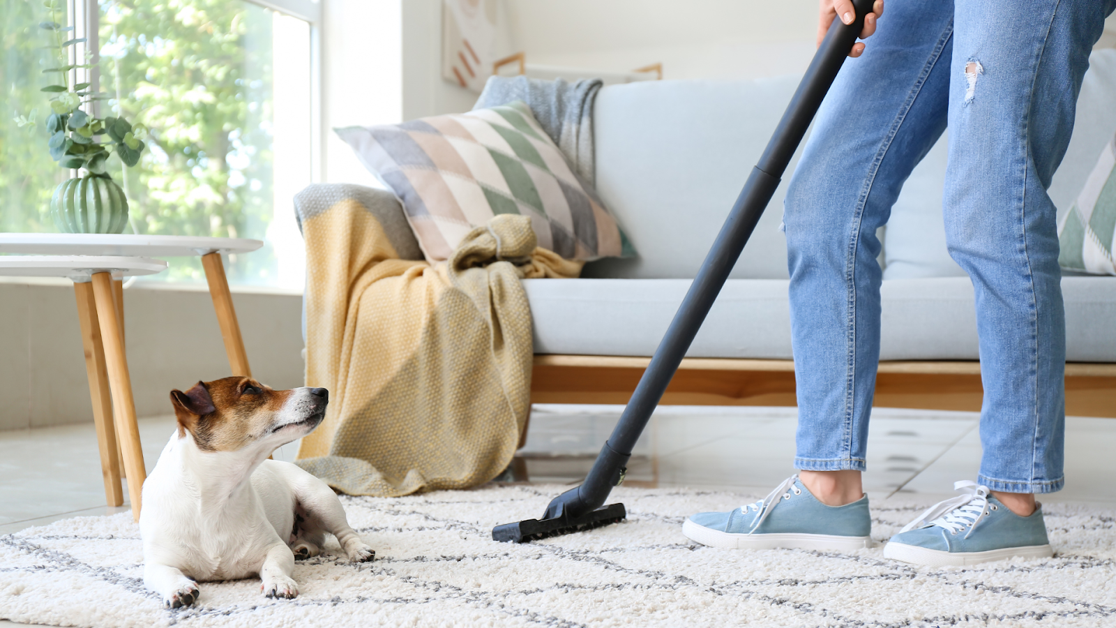 More people are choosing to create pet-friendly home environments.