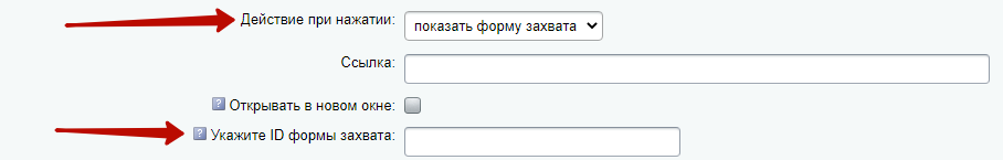 Фото 9: «Нашему модулю ИСТОРИИ исполнилось 4 года!»