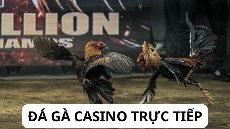 Đăng ký tài khoản Đá Gà Casino Trực Tiếp dễ dàng