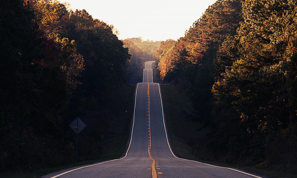 A photograph of a long and seemingly never-ending road. On both sides of which are trees with green, yellow and orange leaves. 