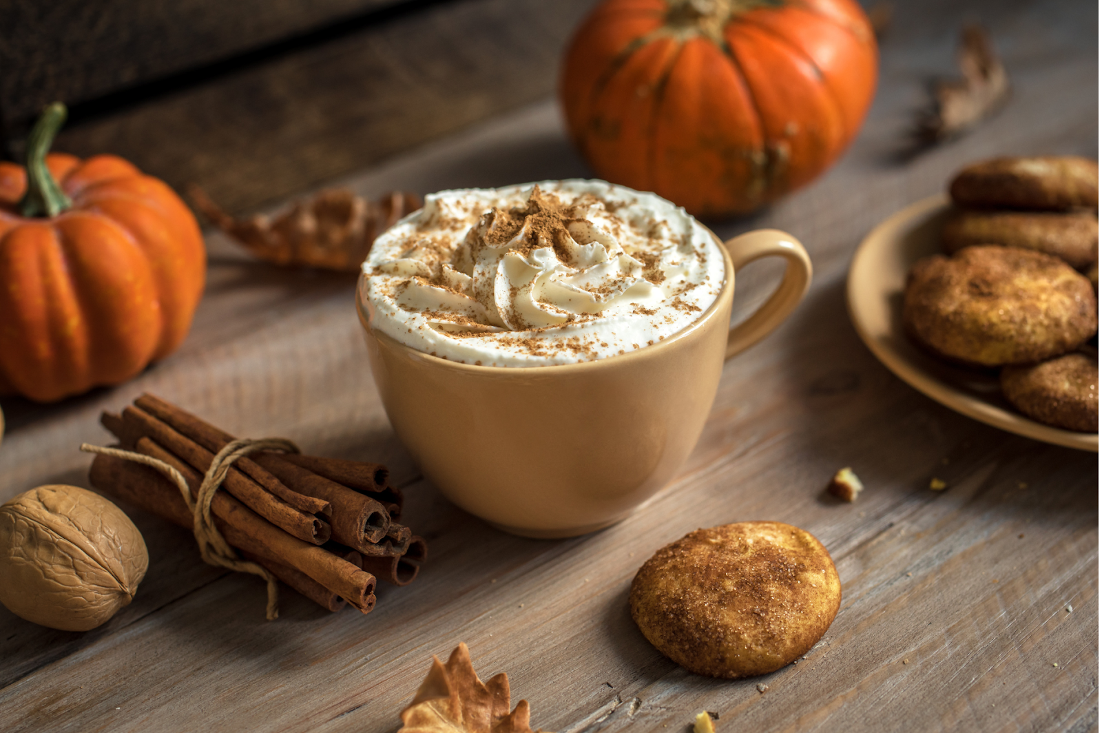 A picture of a delicious Pumpkin Spice Latte in a cup with Pumpkins and cinnamon sticks around