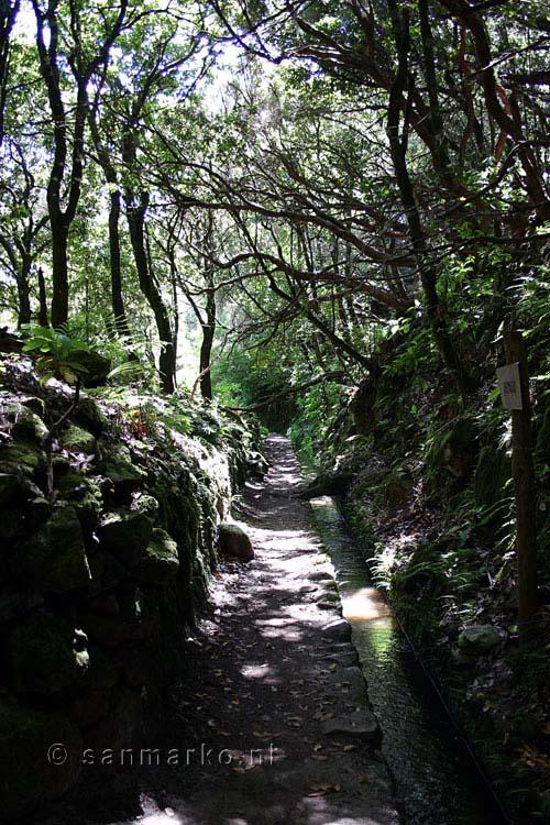 Close to the tunnel at Queimadas on Madeira - Hike at Queimadas - Caldeirão Verde - Madeira - Portugal