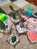 Jual Tanaman Hias Mini di Bandung - Kaktus Terrarium Unik, Estetik, dan Perawatan Mudah