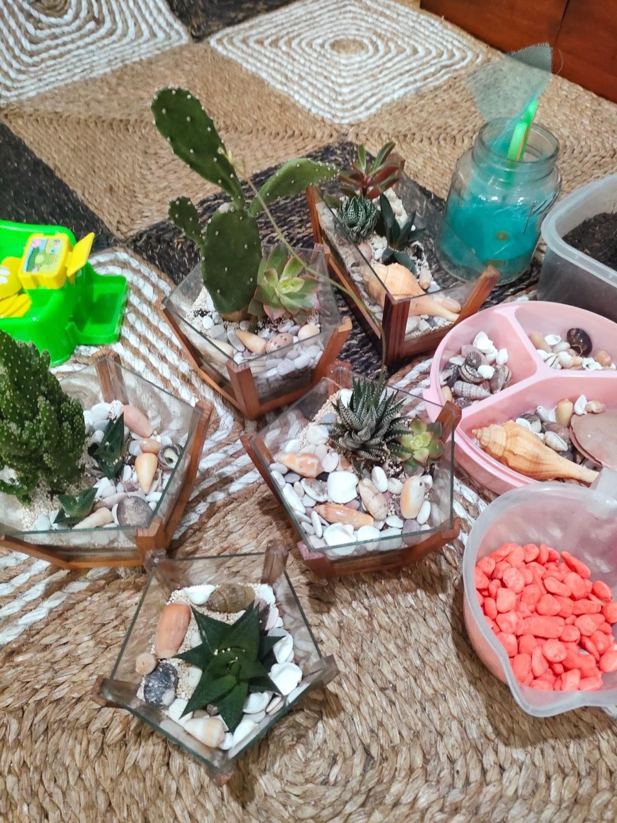 Terrarium Cactus