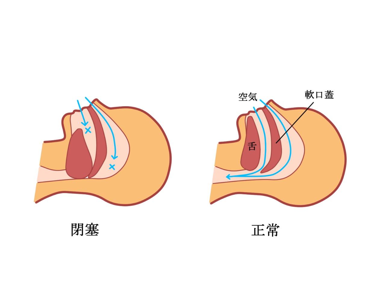 ダイアグラム

自動的に生成された説明