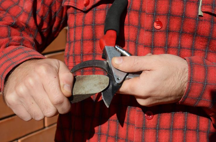 Sharpen Pruning Shears For The Perfect Cut. Gardener Cleaning and Sharpening Garden Tools