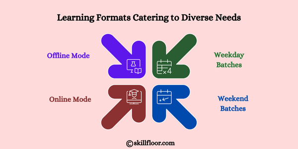 Learning Formats Catering to Diverse Needs