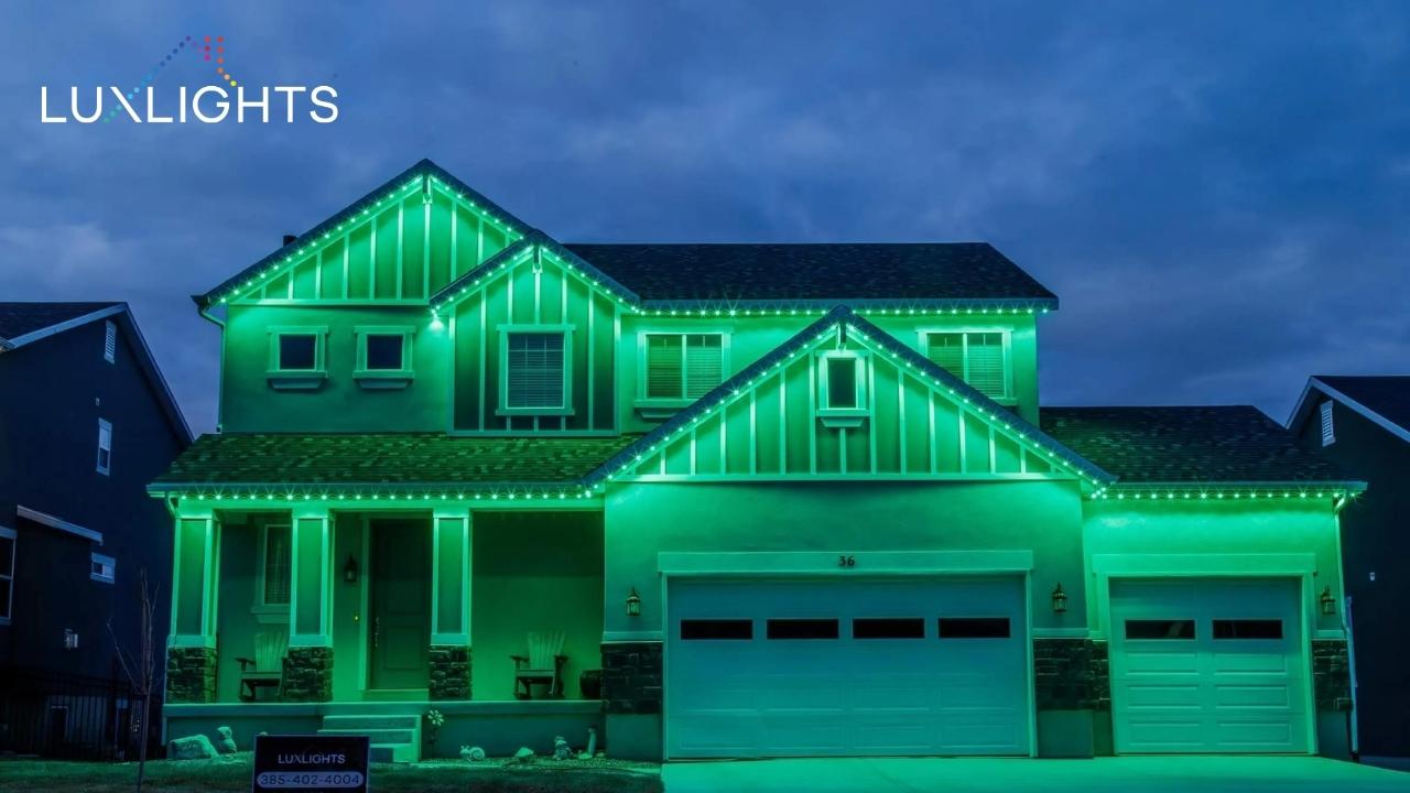 green permanent christmas lights