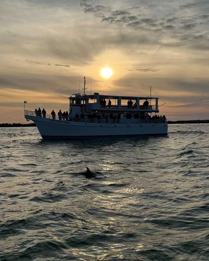 Sunset Dolphin Cruise