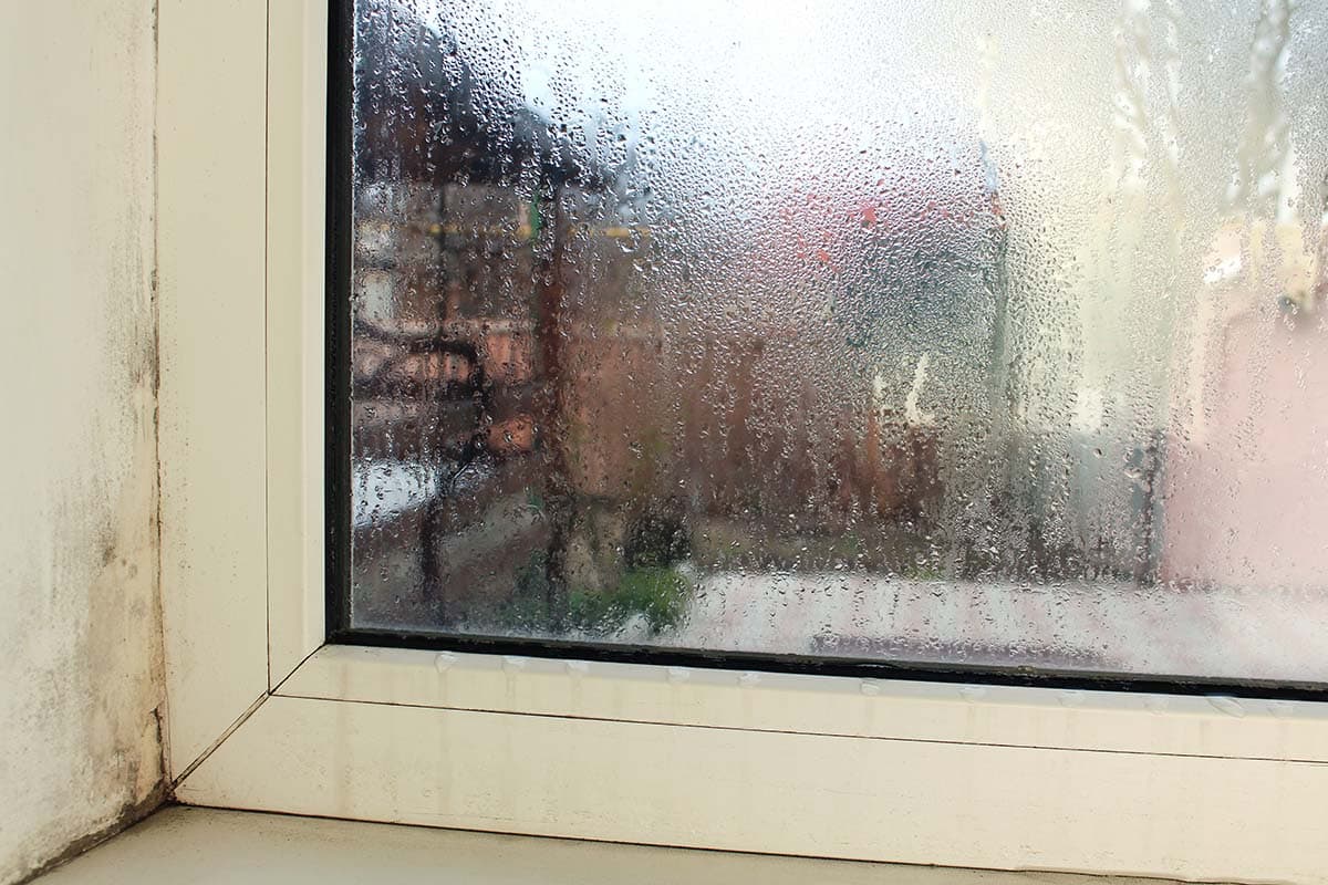 bad window sill condensation