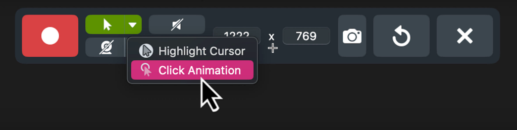 Click animation and highlight cursor option.