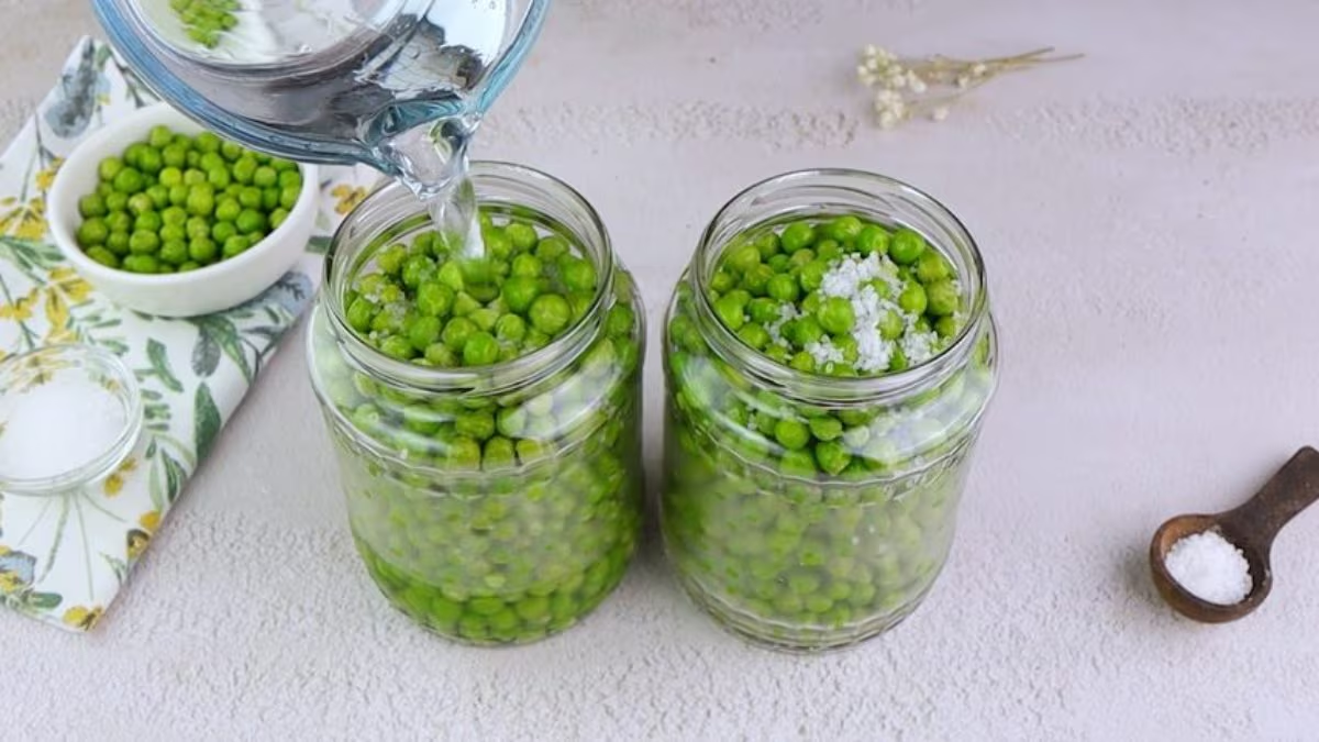 Harvest and Store Fresh Peas