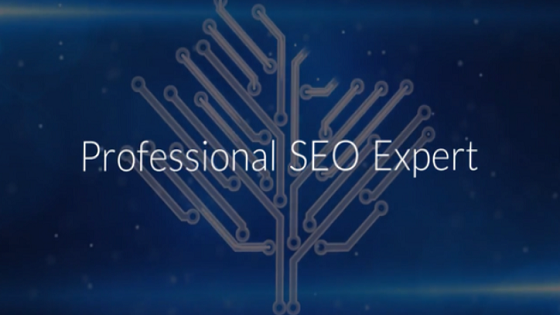 Expert SEO professionnel