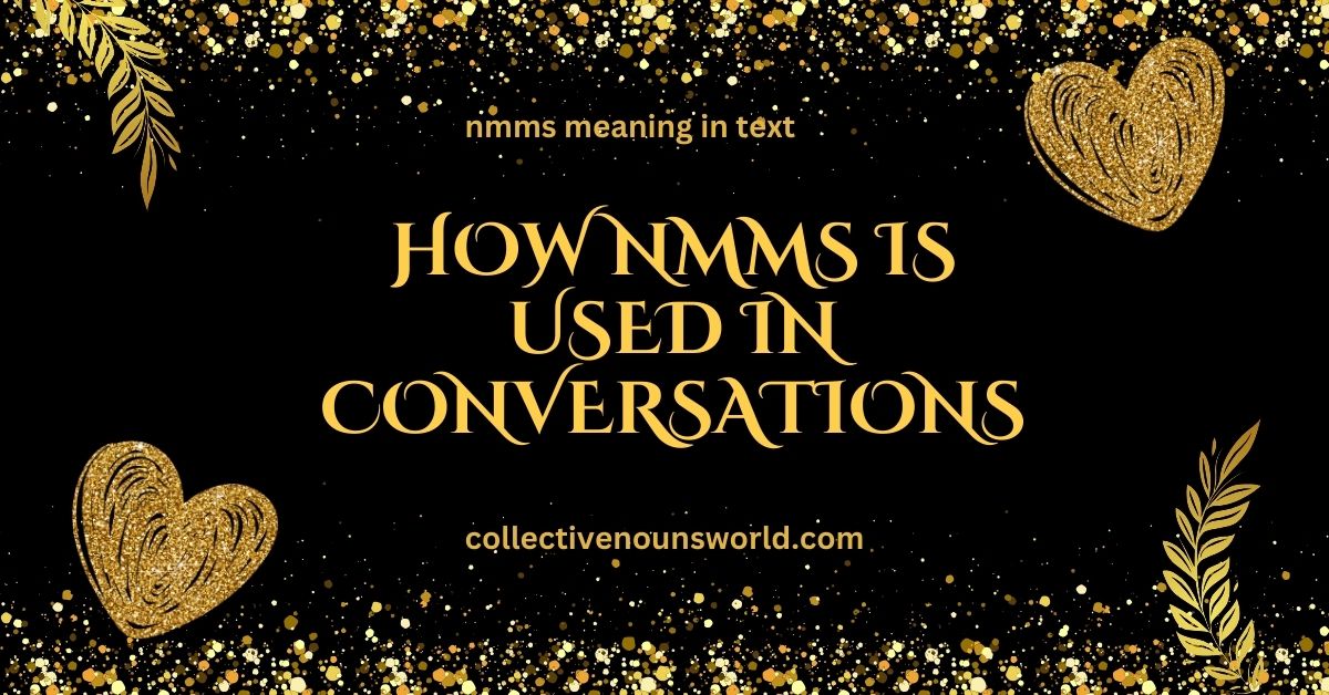 What does NMMS mean