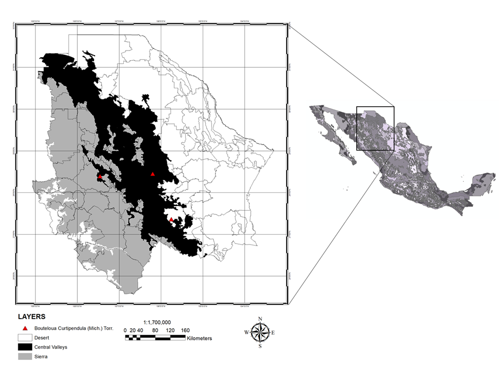 Mapa

DescripciÃ³n generada automÃ¡ticamente