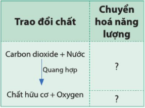 BÀI 18. QUANG HỢP Ở THỰC VẬT MỞ ĐẦUCâu hỏi: Quan sát hình 181, cho biết thực vật có thể tự tổng hợp chất hữu cơ từ những nguyên liệu nào. Chất hữu cơ được tổng hợp ở thực vật thông qua quá trình nào?Đáp án chuẩn:Quá trình quang hợp.I. VAI TRÒ CỦA LÁ CÂY VỚI CHỨC NĂNG QUANG HỢPCâu 1: Quan sát hình 18.2, cho biết các bộ phận của lá cây và chức năng của các bộ phận đó trong quá trình quang hợp.Đáp án chuẩn:- Phiến lá: thu nhận được nhiều ánh sáng.- Lục lạp: thu nhận ánh sáng dùng cho tổng hợp chất hữu cơ.- Gân lá: vận chuyển nước chất hữu cơ.- Khí khổng: trao đổi khí và thoát hơi nước.Câu hỏi 1: Nêu các đặc điểm của lá cây phù hợp với chức năng quang hợp?Đáp án chuẩn:- Phiến lá có dạng bản dẹt, mỏng giúp thu nhận được nhiều ánh sáng.- Có khí khổng để trao đổi khí.- Diệp lục trực tiếp hấp thụ được năng lượng của các tia sáng chiếu lên lá.- Hệ gân lá phát triển, chứa các mạch gỗ và mạch rây.Vận dụngCâu 1: Theo em, những cây có lá tiêu biến, ví dụ cây xương rồng lá biến đổi thành gai thì có thể quang hợp được không? Vì sao?Đáp án chuẩn:Có vì thân hoặc cành sẽ có lục lạp nên thân hoặc cành sẽ thay lá làm nhiệm vụ quang hợp.II. QUÁ TRÌNH QUANG HỢPCâu 2: Cho biết các chất tham gia và sản phẩm tạo thành trong quá trình quang hợp ở thực vật?Đáp án chuẩn:Nước và carbon dioxide và ánh sáng tham gia, sản phẩm là chất hữu cơ và oxygen.Vận dụngCâu 2: Quang hợp có ý nghĩa như thế nào đối với sự Sống trên Trái Đất?Đáp án chuẩn:- Tạo ra các chất hữu cơ phục vụ đời sống của các sinh vật. - Hấp thụ CO2 và giải phóng O2 giúp điều hòa không khí, cung cấp oxygen cho sự sống. Câu 3: Những sinh vật nào có thể quang hợp?Đáp án chuẩn:Sinh vật có diệp lục.III. MỐI QUAN HỆ GIỮA TRAO ĐỔI CHẤT VÀ CHUYỂN HOÁ NĂNG LƯỢNG TRONG QUANG HỢP