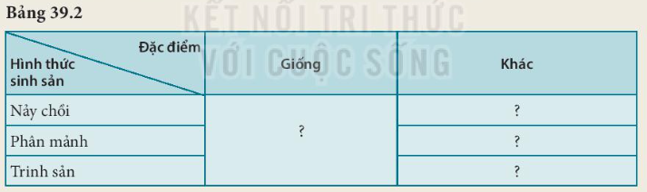 BÀI 39. SINH SẢN VÔ TÍNH Ở SINH VẬT MỞ ĐẦUCâu hỏi: Những ‘nhành cây’ với màu sắc rực rỡ trong hình bên là các tập đoàn san hô gồm hàng nghìn cá thể dính liền với nhau, được tạo thành nhờ hình thức sinh sản vô tính. Vậy sinh sản vô tính là gì?Đáp án chuẩn:Sinh sản vô tính là hình thức sinh sản không có sự kết hợp giữa giao tử đực và giao tử cái, cơ thể san hô con được tạo thành từ một phần của cơ thể mẹ.I. SINH SẢN LÀ GÌ?Câu hỏi: Quan sát hình 39.1 kết hợp kiến thức đã biết, hãy nêu khái niệm sinh sản và lấy ví dụĐáp án chuẩn:Sinh sản là quá trình tạo ra những cá thể mới, đảm bảo sự phát triển liên tục của loài. VD: Gà đẻ trứng.II. SINH SẢN VÔ TÍNH1. Khái niệmCâu 1: Quan sát hình 39.2 và 39.3, 39.4 kết hợp đọc thông tin trong mục II, đánh dấu X vào ô phù hợp theo mẫu bảng 39.1Đáp án chuẩn: Con sinh ra có sự kết hợp của giao tử đực và giao tử cáiCon sinh ra từ một phần cơ thể mẹCon có các đặc điểm giống hệt cơ thể mẹCon có những đặc điểm khác cơ thể mẹSinh sản ở trùng roi xx Sinh sản ở cây gừng xx Sinh sản ở thủy tức xx Câu 2: Dựa vào kết quả ở câu 1, em hãy nêu các đặc điểm của sinh sản vô tínhĐáp án chuẩn:Con sinh ra không có sự kết hợp của giao tử đực và cái, cơ thể con được tạo thành từ một phần cơ thể mẹ, con cái sinh ra giống nhau và giống cá thể mẹ.2. Các hình thức sinh sản vô tính ở thực vậtCâu hỏi: Hãy kể tên một số loài cây khác có khả năng sinh sản bằng rễ, thân, lá mà em biếtVì sao người ta gọi hình thức sinh sản từ rễ, thân, lá là sinh sản sinh dưỡng?Đáp án chuẩn:- Sinh sản bằng rễ: gừng, cỏ mần trầu, cây dong ta,…- Sinh sản bằng thân: sắn, khoai lang, rau má, rau ngót,…- Sinh sản bằng lá: cây thuốc bỏng, cây càng cua, cây bèo cái, cây sam nhật,…- Gọi là sinh sản sinh dưỡng vì ở hình thức này cơ thể mới được hình thành từ cơ quan sinh dưỡng từ của cơ thể mẹ (thân, rễ, lá).3. CÁC HÌNH THỨC SINH SẢN VÔ TÍNH Ở ĐỘNG VẬTCâu hỏi: Đọc thông tin mục 3 và hoàn thành bản theo mẫu bảng 39.2Đáp án chuẩn:Đặc điểmHình thứcsinh sảnGiốngKhácNảy chồiKhông có sự kết hợp của giao tử đực và giao tử cái, con sinh ra giống hệt nhau và giống hệt mẹ.“Chồi” được mọc ra từ cơ thể mẹ, lớn dần lên và tách ra khỏi cơ thể mẹ thành cơ thể mới hoặc vẫn dính với cơ thể mẹ tạo thành tập đoàn.Phân mảnhMỗi mảnh nhỏ riêng biệt của cơ thể mẹ phát triển thành một cơ thể mới hoàn chỉnhTrình sảnTế bào trứng không thụ tinh phát triển thành cơ thể mới4. Vai trò và ứng dụng của sinh sản vô tính