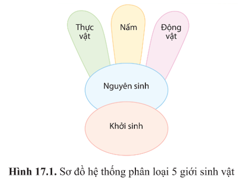 BÀI 17 - VI SINH VẬT VÀ CÁC PHƯƠNG PHÁP NGHIÊN CỨU VI SINH VẬT