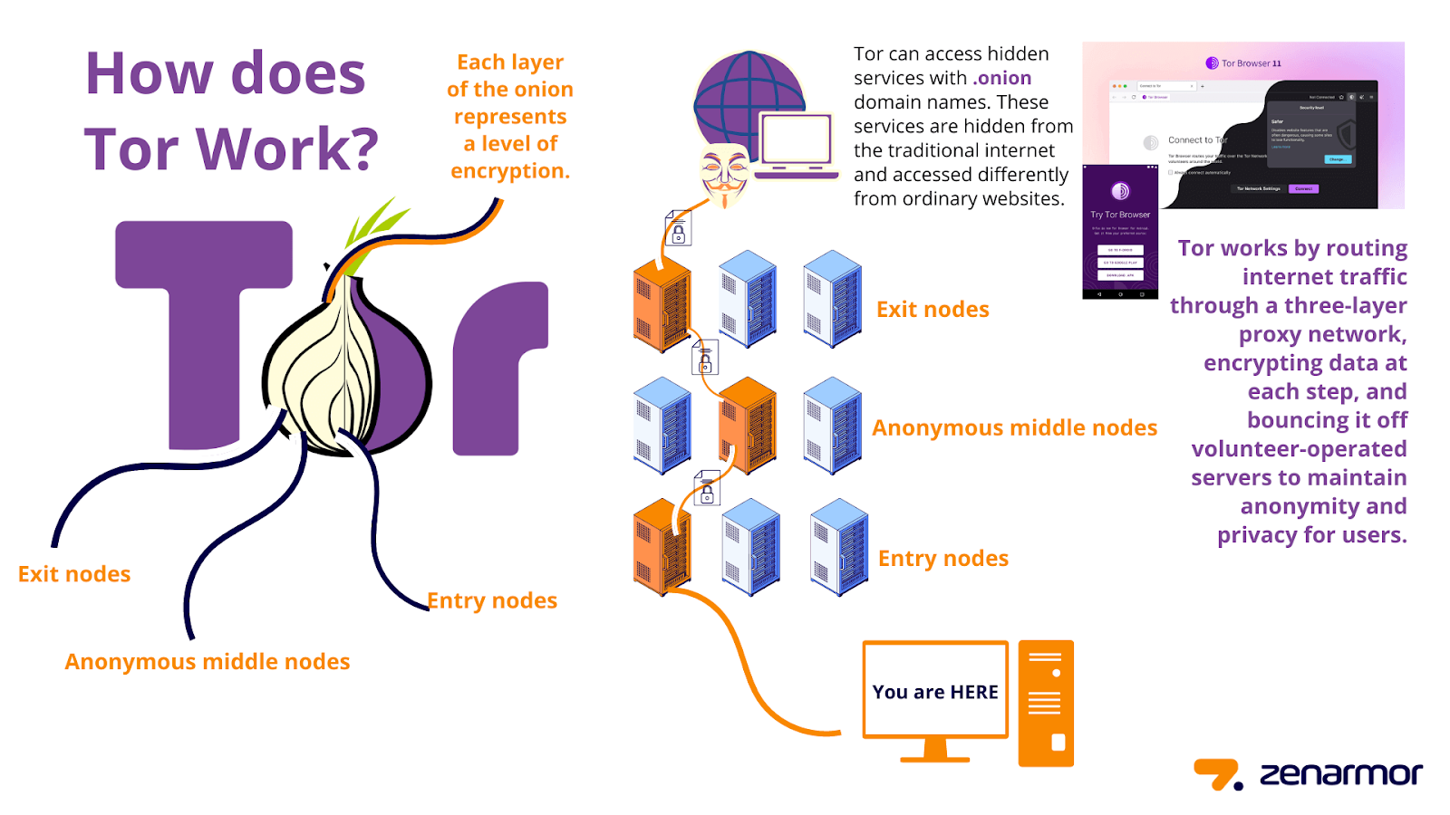 How Tor works