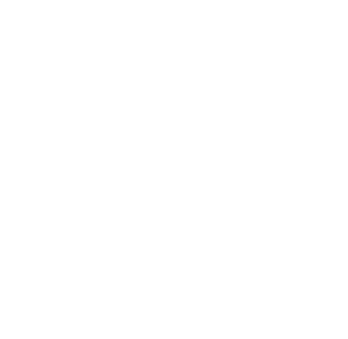 Chatbot, a chatbot developer