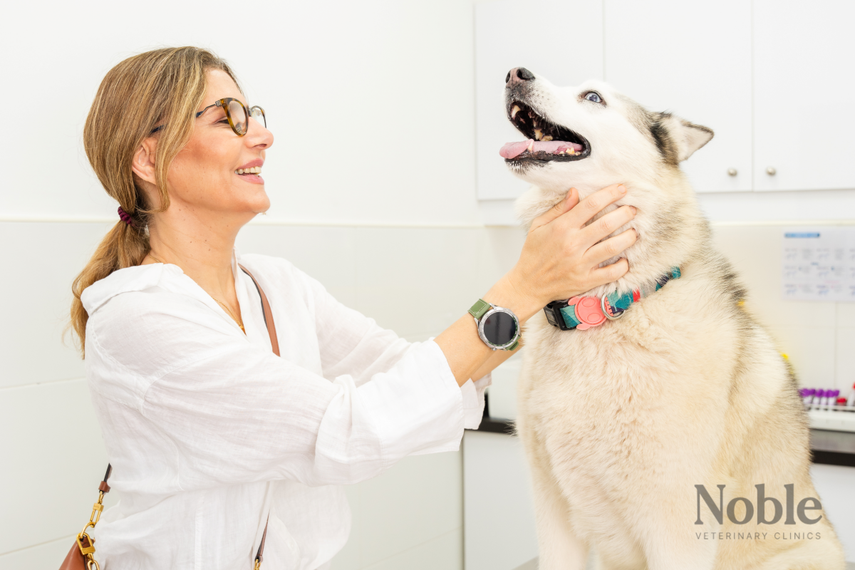 mental and physical health benefits of having a pet