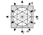 NCERT Solutions For Class 6 Maths Chapter 13 Symmetry 